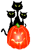 [Linked Image]