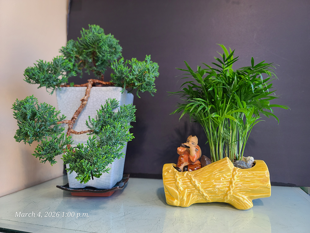 [Image: 20260304-130019.png]