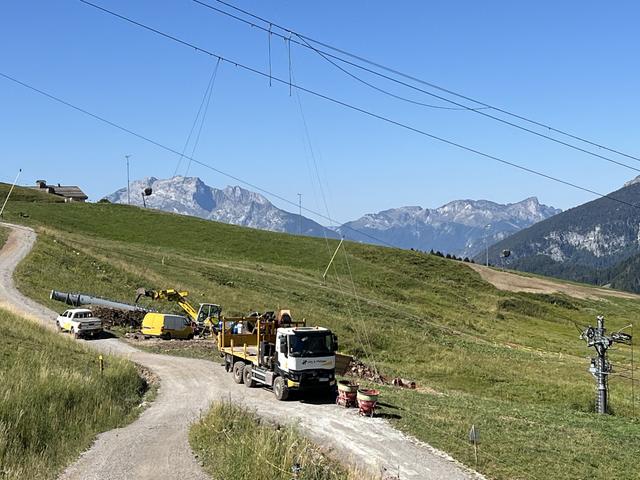 IMG 4500