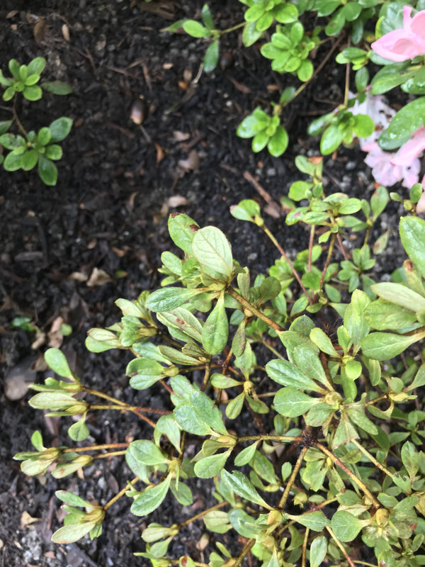 B66A7AA4-37DC-4FFD-A633-3C358FAF769F