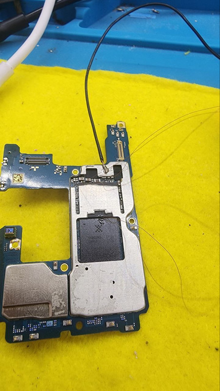 photo 2026 01 12 12 07 06