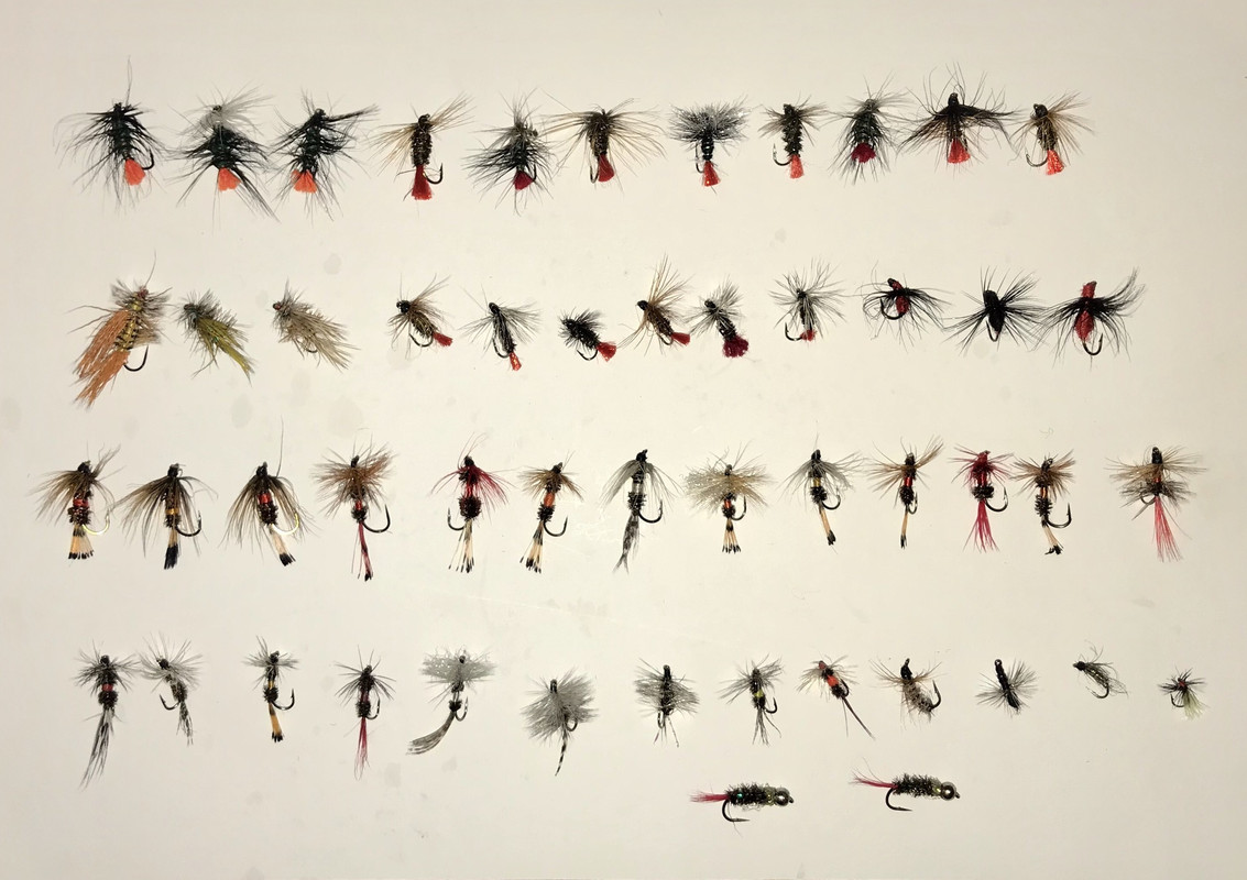 35C031FD-D593-425F-8501-D7F73B2CF832