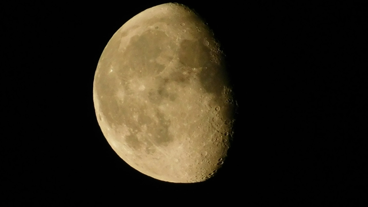 Август дачный кукольный 2023 536