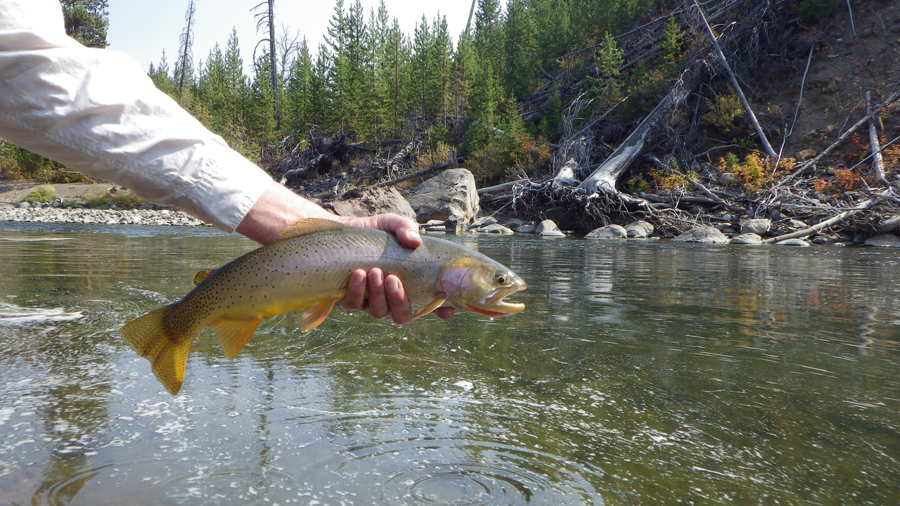 AA4FA68A-E68A-4067-AAD3-17431D2841E4