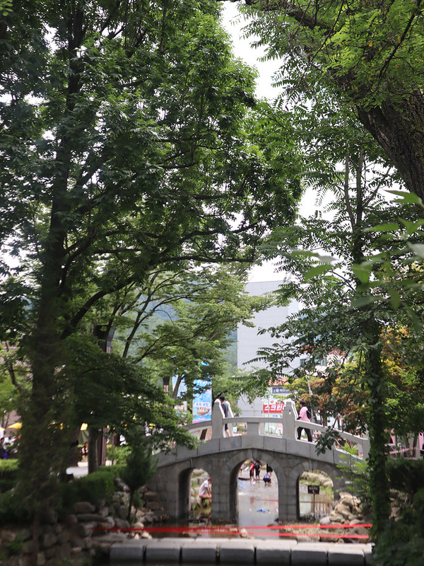 IMG-3217