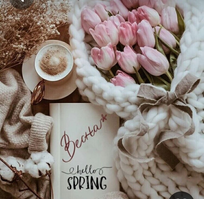 Screenshot_20230306_235851_Pinterest