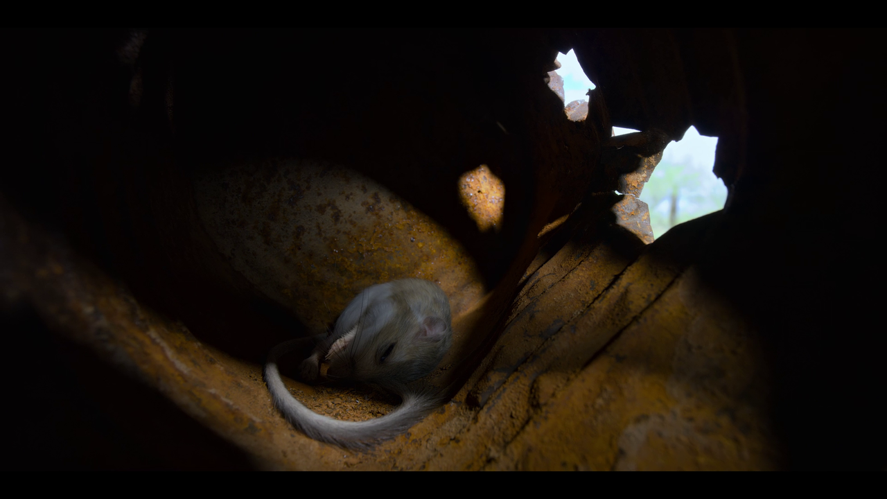 vlcsnap-2023-01-17-12h10m18s802