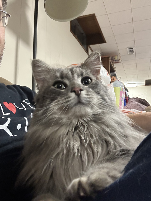 72143E1C-1729-4143-8BF3-365C686732D2