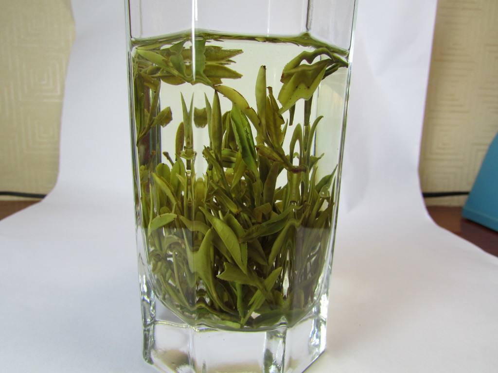 Xiao Xian Chun: A Timeless Green Tea Treasure from China’s Ancient Tea Roads