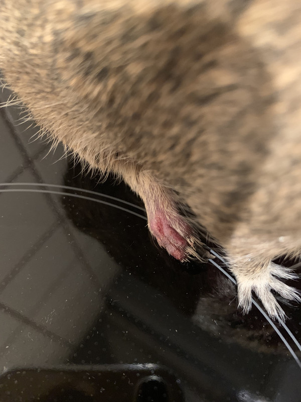 275EBE3E-5CA4-4F71-BF7A-0D5C4B9CFE41