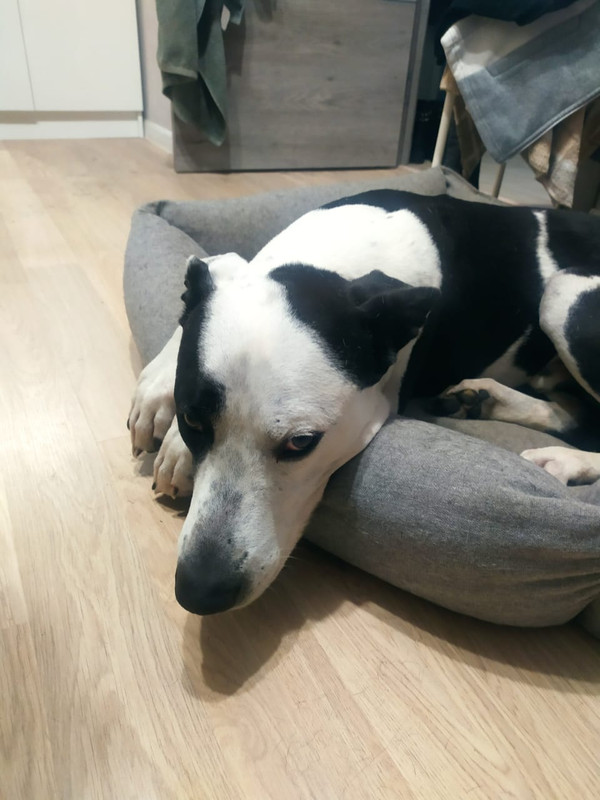 1A04A5CF-02DF-41EA-BDB1-1815CC2D803E