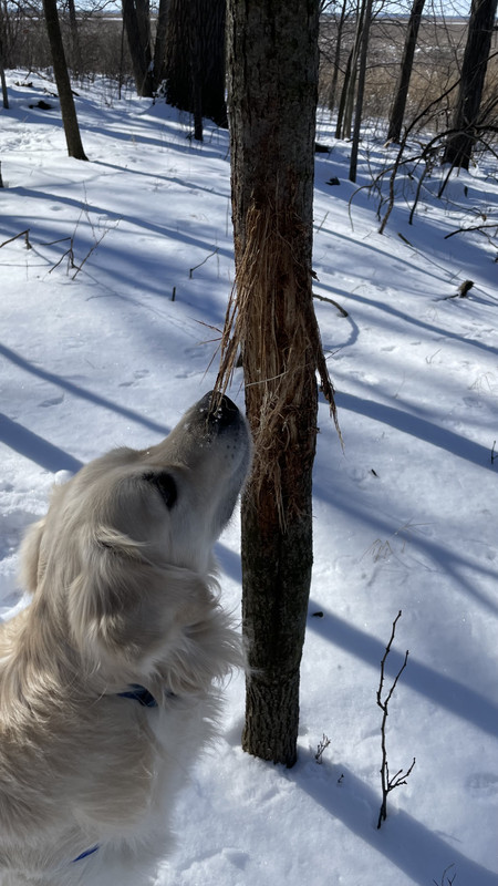 7FF15068-DF6A-4A4C-A5CD-A7772A696315