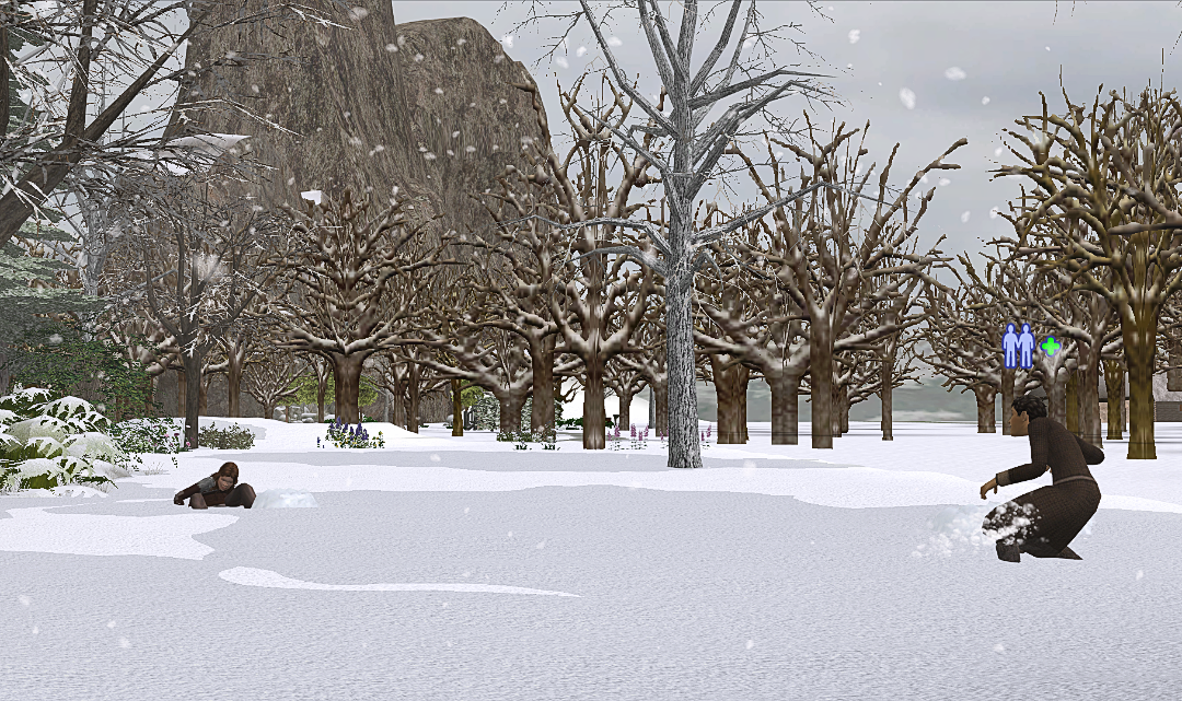 screenshot_2026_01_13_20_36