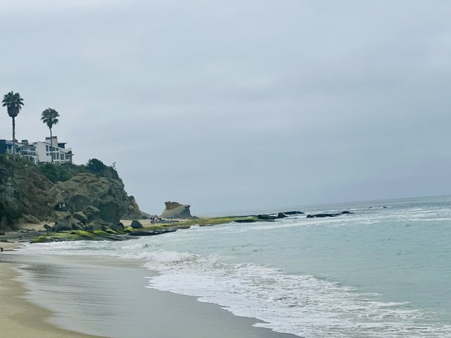 [Image: IMG-4764.jpg]