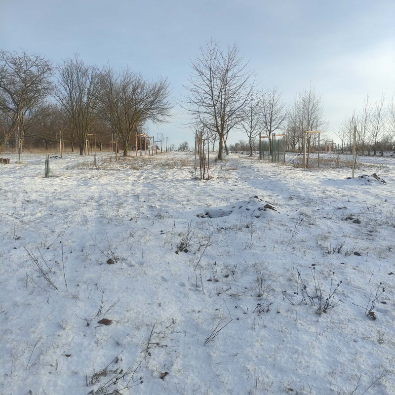 607171061 857361630485760 1482426663363413996 n