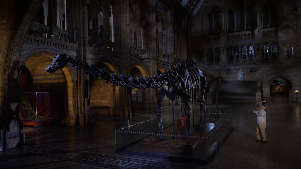 vlcsnap-2024-08-12-20h15m02s448