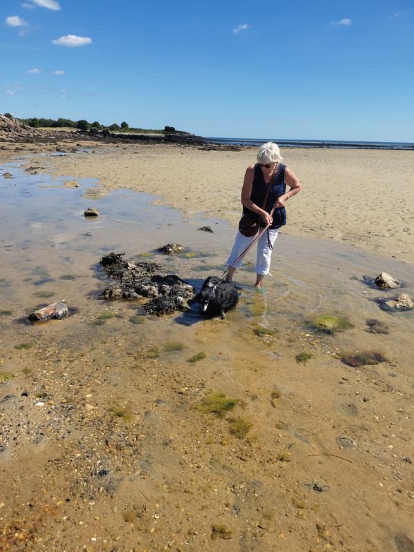 [Image: IMG-20220706-163839.jpg]