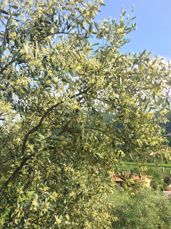 8823752E-5611-4748-9CBC-CAE09CADB51A