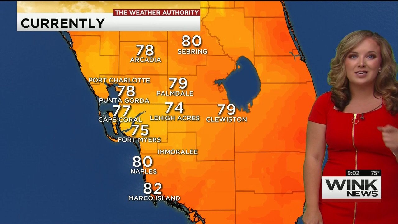 23 May - 14.00.00 - WINK News @ 9 00AM..ts_snapshot_00.06.44_[2020.05.23_17.12.01]