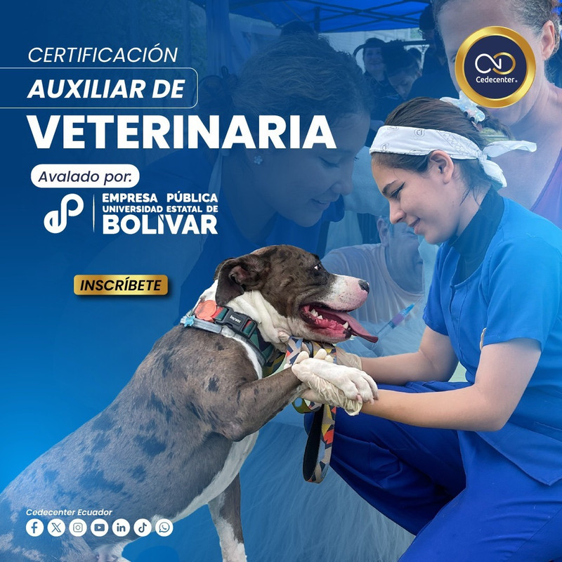 Cedecenter Ecuador (13)