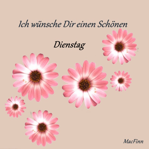 dienstag15