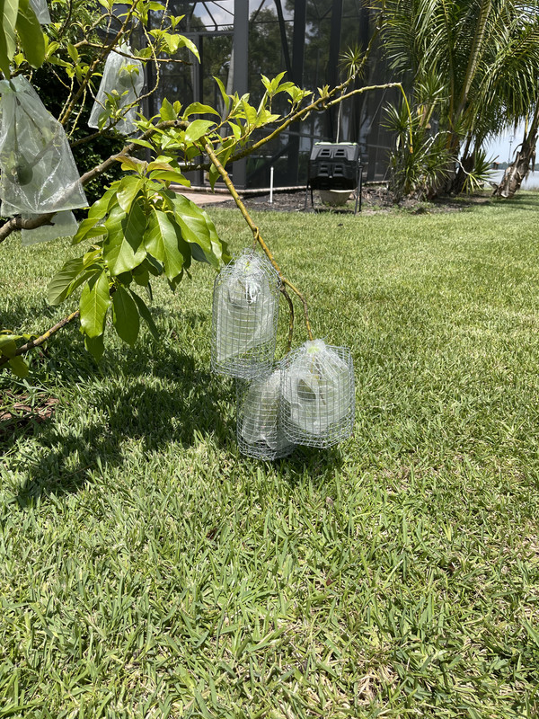 71019122758 A526C45E F361 449B 9CE4 B7284C97D29B