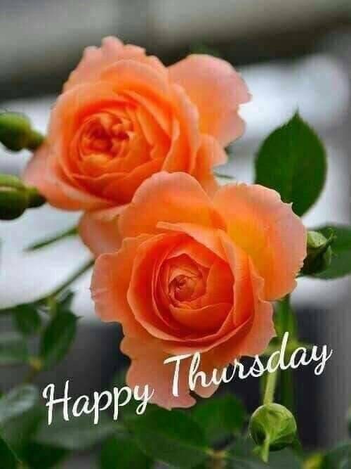 d4f1c5679bc788300e392676cafb3b6b