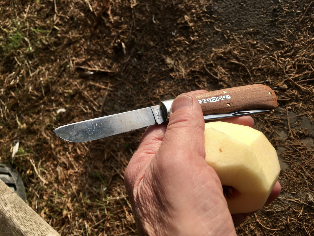 477BB7A2-CEF3-4099-83DB-93254CF84587