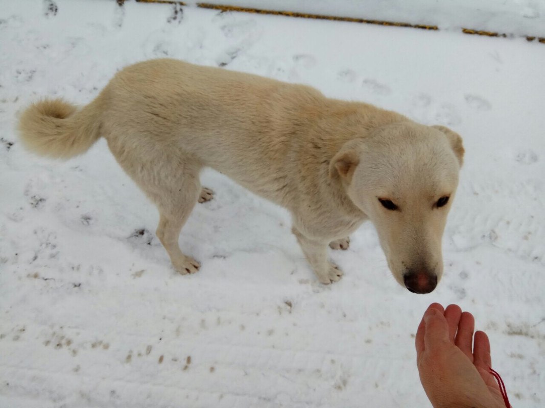 C303ADB0-971D-4575-AB1D-4A6DFD28C909