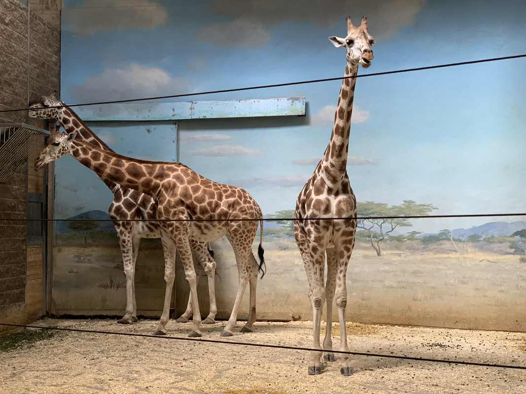 860032A2-238E-4815-9056-3F48AA9AF012