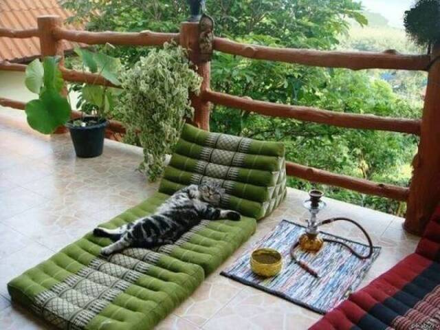 picdump-kw07-2025-008.jpg