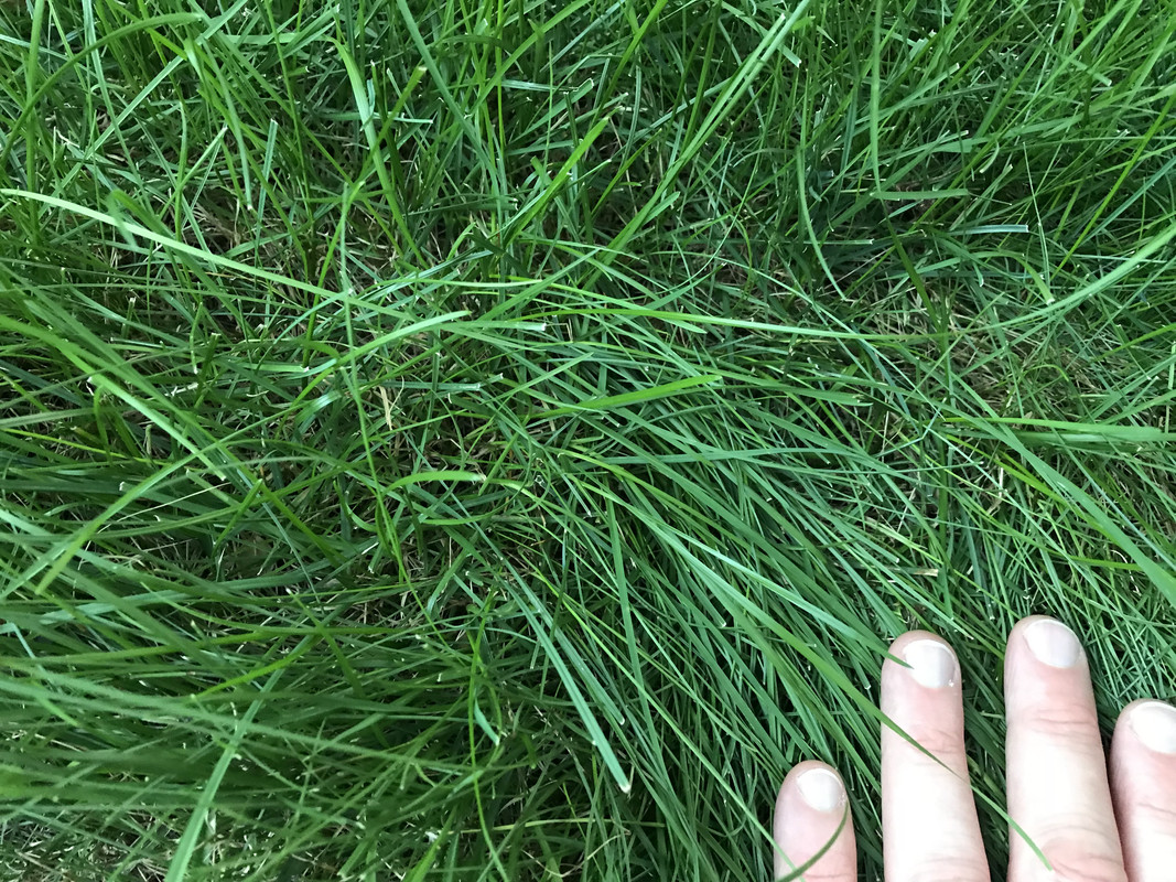 2BBEE751-E6E6-49F9-BFA1-22B9C42B9277