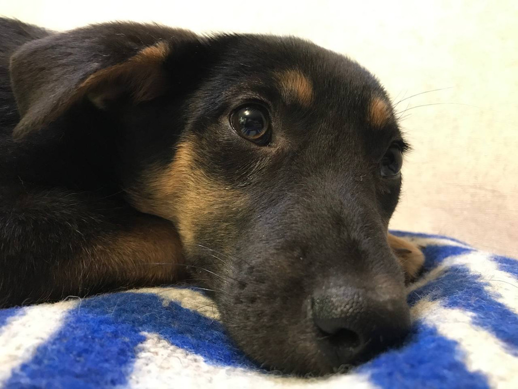 C28ED97E-073A-422F-ABE0-D9776048C602