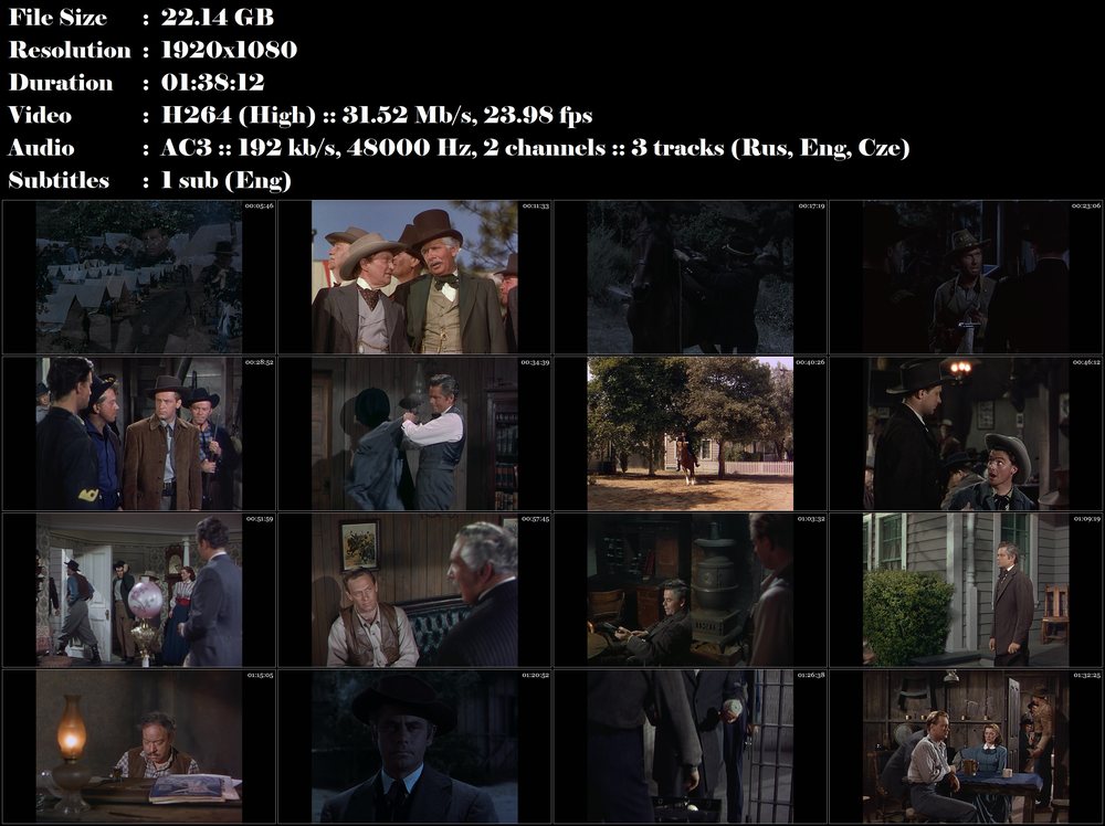 Muž z Colorada / The Man from Colorado (1948)