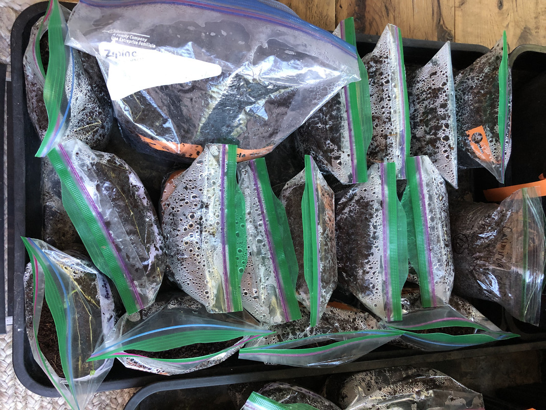 75EB32B9-AC8F-4C55-8164-3EB5D189D3B2