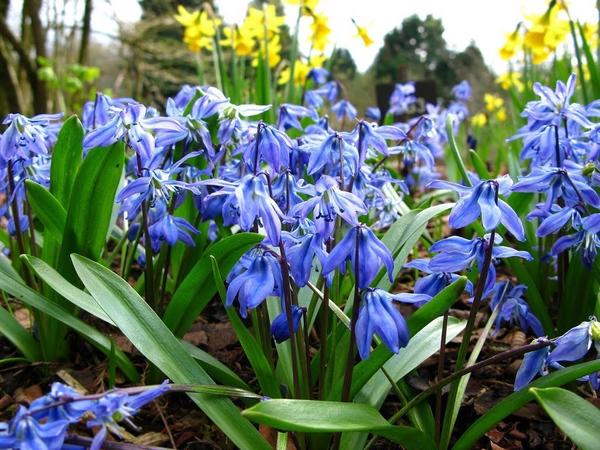 91739367-2478725342233882-3927046589104783360-n