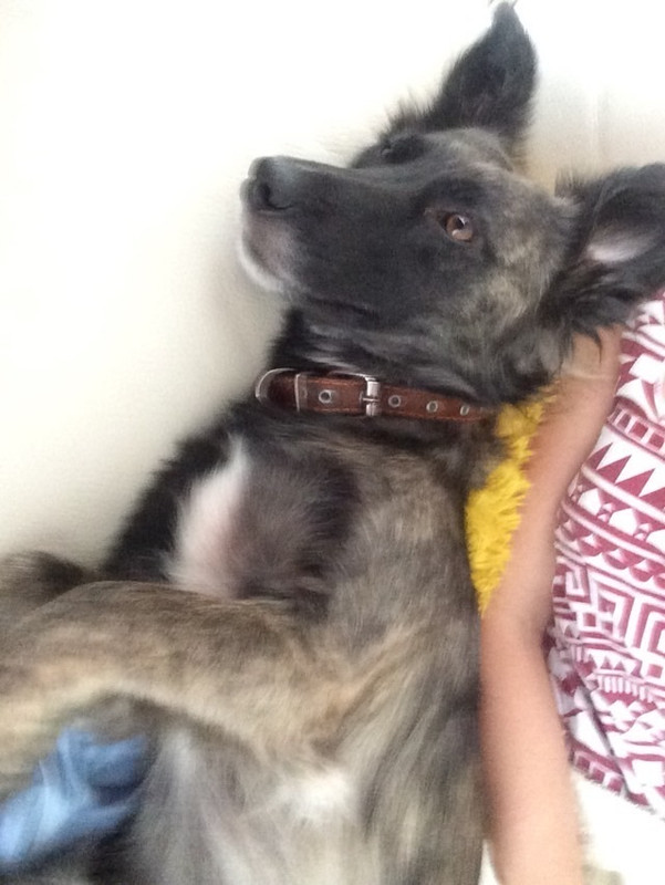 95928FE5-7355-49DB-A013-A9ADC1E37F4E