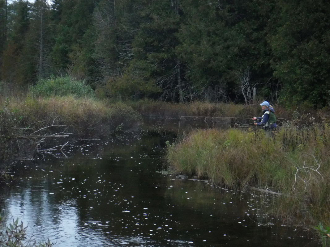 2ECE4CDD-77D8-4DA1-B256-6A469D0E31FC