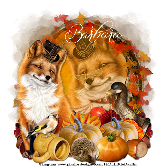 ANIMAL LOVERS HERE - Page 3 Amazing-Autumn-barbara-zps62y2vyxg-png-original