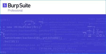 Burp Suite Professional 2021.8 Build 9152
