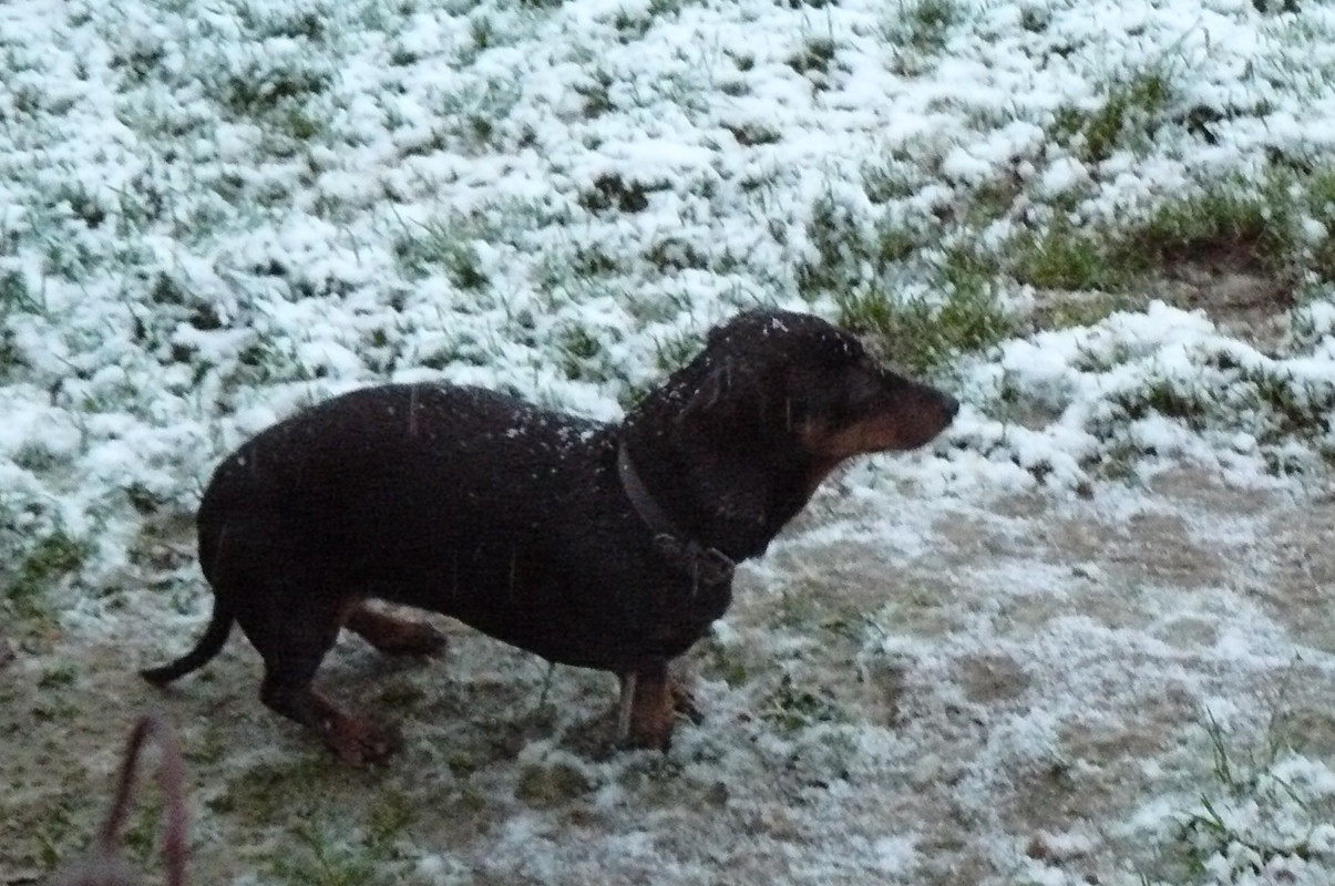 [Image: P1240621.jpg]