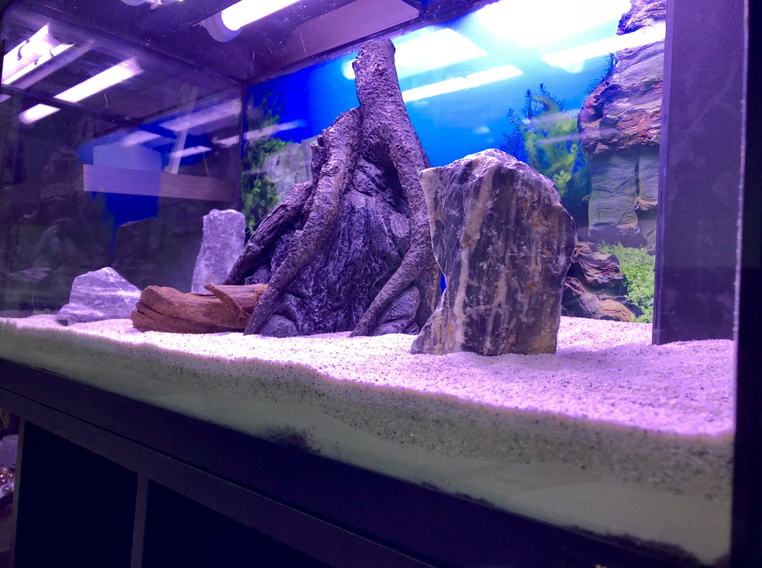 AE0FB71D-66B7-4B58-880E-EEF05E741681