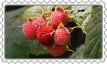 stamp-(19).png
