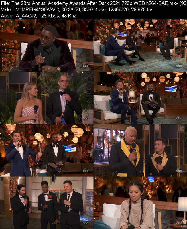 the-93rd-annual-academy-awards-after-dar