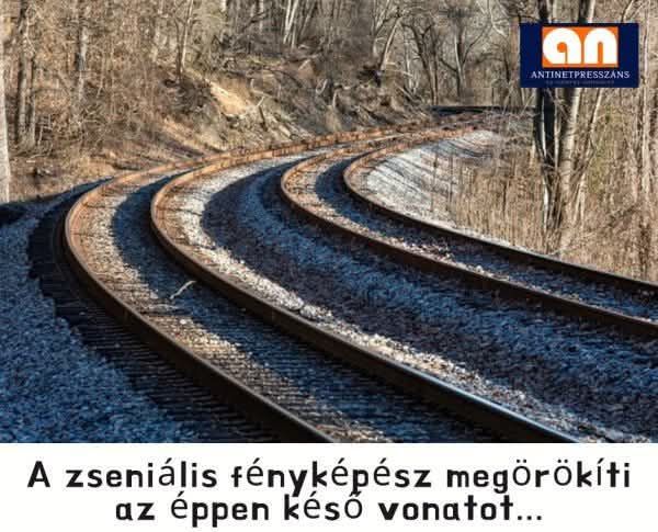 https://i.postimg.cc/Ghww2FYM/a-zsenialis-fenykepesz.jpg
