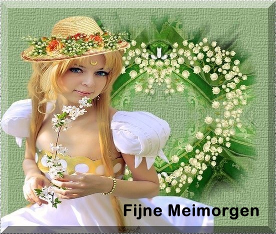 welkom opblog Bunic Jos