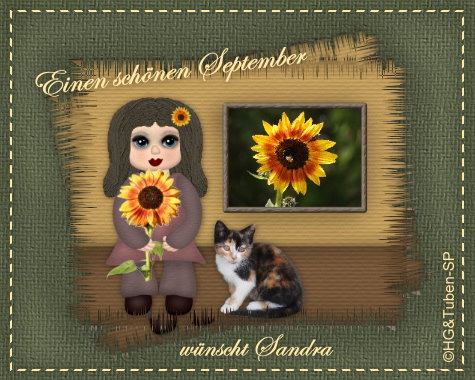 An den Beitrag angehängtes Bild: https://i.postimg.cc/GhxCjFgp/gbls01gg.jpg