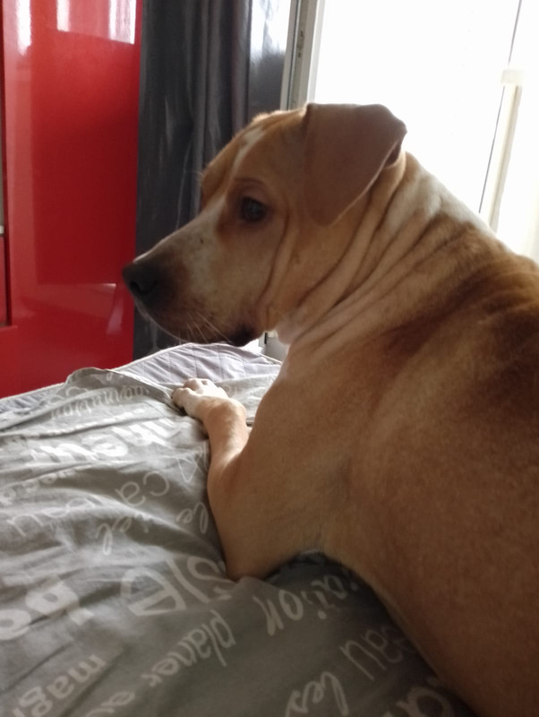 B3C68A63-FBF5-4B72-83B8-C64275A4054B