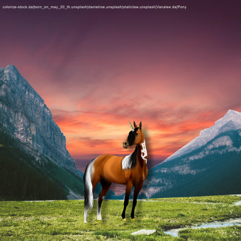 E716AC79-42B7-42C1-963E-E351D43FD36E