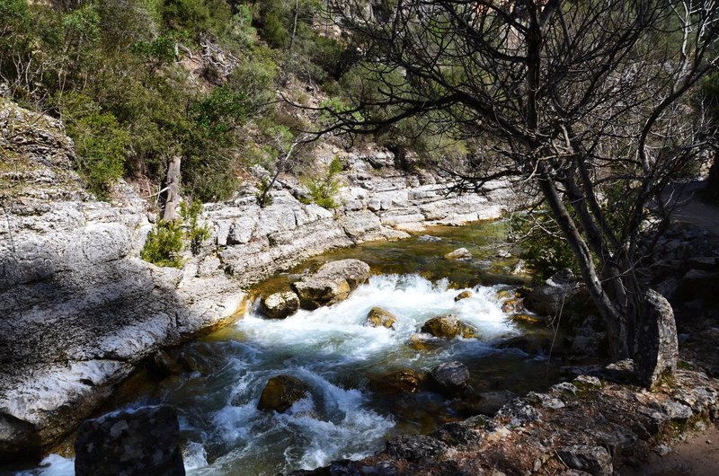 RUTA RIO BOROSA-12-3-2016-JAEN - Paseando por España-1991/2016 (58)